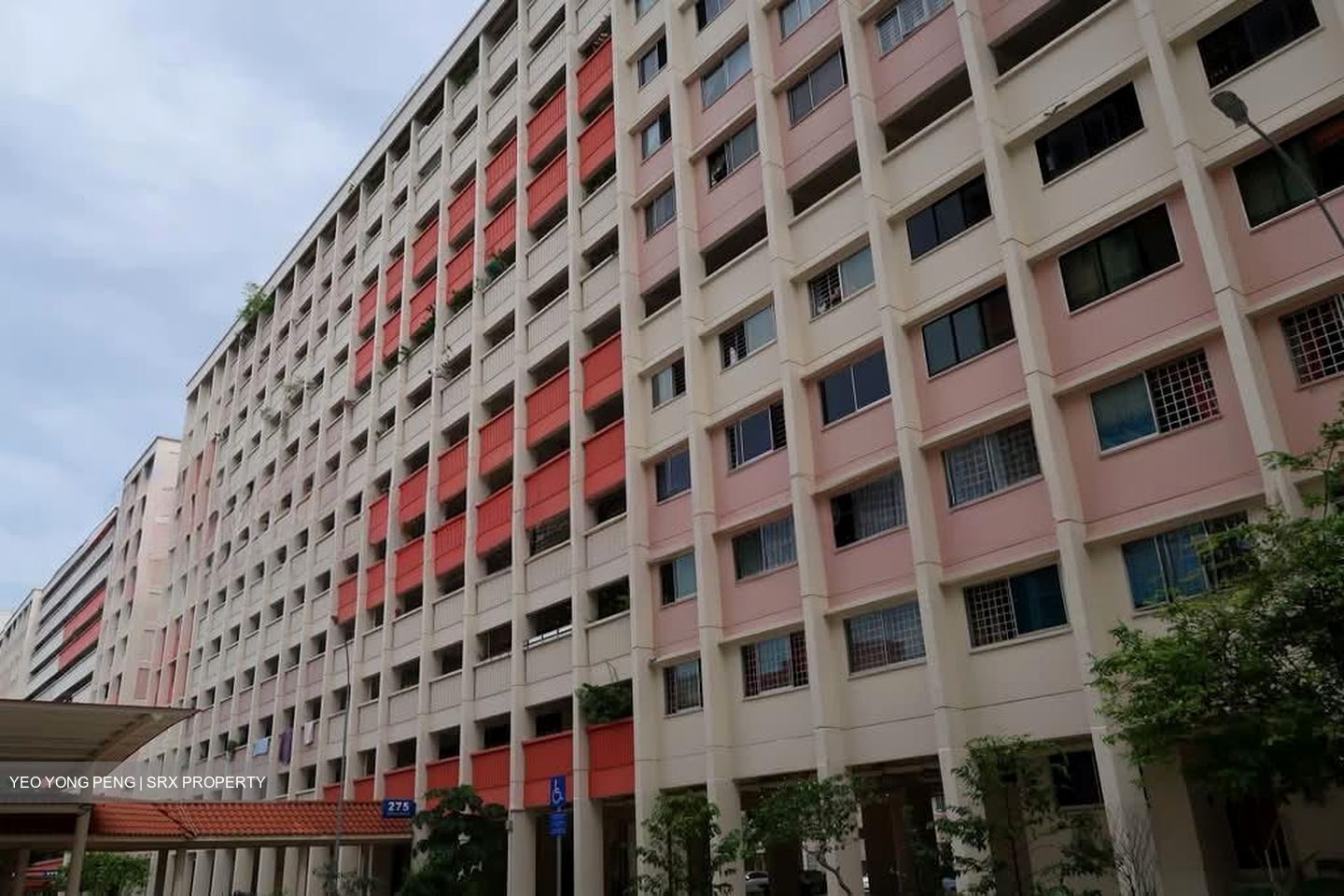 Blk 276 Ficus Vale (Yishun), HDB 4 Rooms #602786941